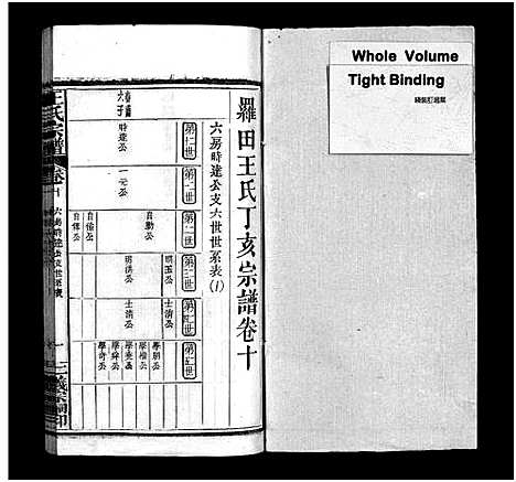 [王]罗田王氏丁亥宗谱_13卷-王氏宗谱_罗田王氏丁亥宗谱 (河南、安徽) 罗田王氏丁亥家谱_十.pdf