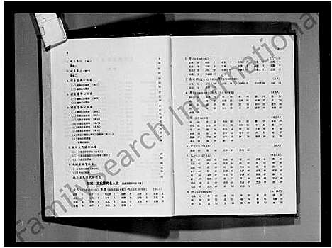 [王]王氏谱系及名人志 (河南、广东、福建) 王氏谱.pdf