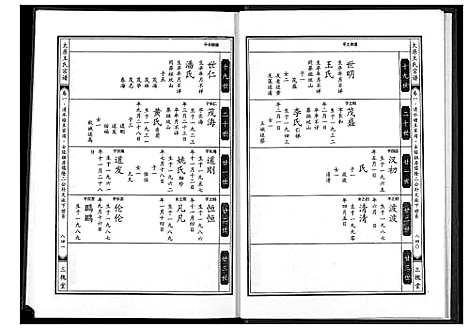 [王]太原王氏宗谱 (河南) 太原王氏家谱_二.pdf