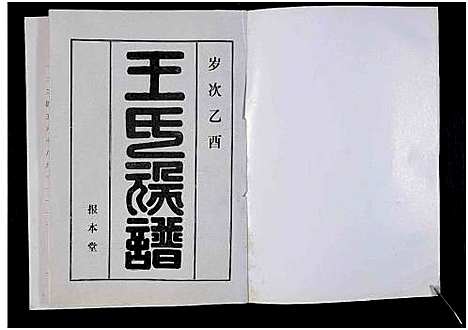 [王]太康马头王氏族谱_不标卷数-王氏族谱 (河南) 太康马头王氏家谱_一.pdf