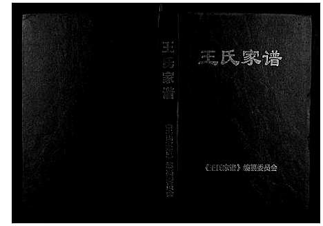 [王]王氏家谱 (河南) 王氏家谱.pdf