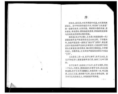 [王]王氏家谱_不分卷 (河南) 王氏家谱.pdf