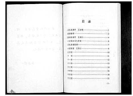 [王]王氏族谱 (河南) 王氏家谱.pdf