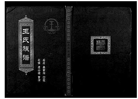 [王]王氏族谱 (河南) 王氏家谱.pdf