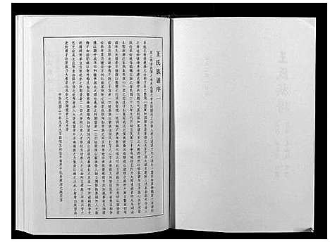 [王]王氏族谱 (河南) 王氏家谱.pdf