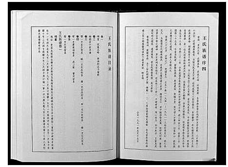 [王]王氏族谱 (河南) 王氏家谱.pdf