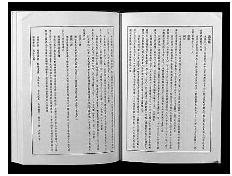 [王]王氏族谱 (河南) 王氏家谱.pdf