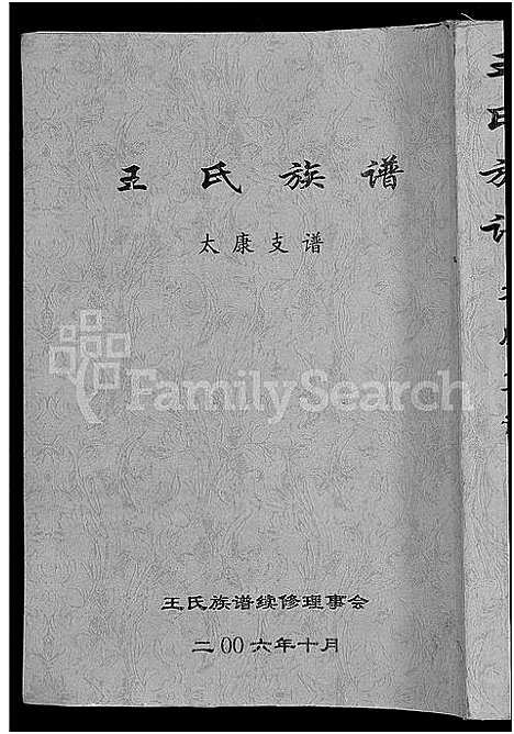 [王]王氏族谱-太康支谱_不分卷 (河南) 王氏家谱.pdf