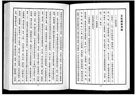 [王]王氏族谱-长垣县蒲西区菜北村 (河南) 王氏家谱_一.pdf