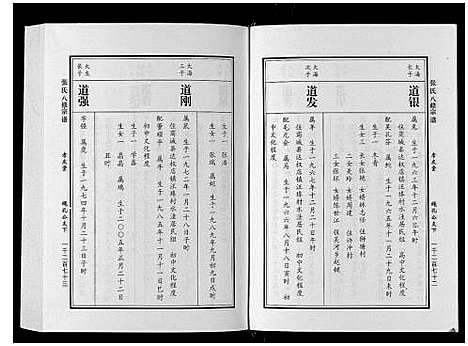 [张]张氏八修宗谱_8卷 (河南) 张氏八修家谱_五.pdf