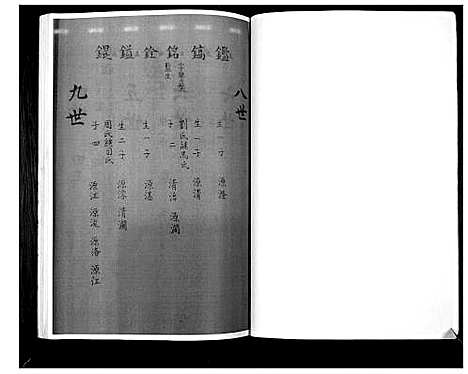 [张]张氏家谱 (河南) 张氏家谱_二.pdf