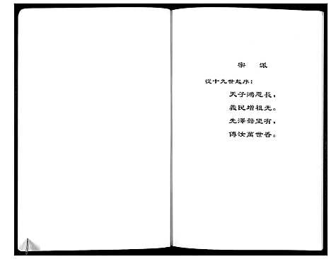 [张]赵寨张氏祖祠纪事 (河南) 赵寨张氏祖祠纪事.pdf