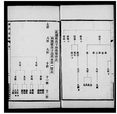 [张]张氏支谱_6卷-西平县合水镇张氏支谱 (河南) 张氏支谱.pdf