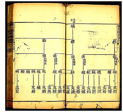 [陈]姚村陈氏家谱 (江苏) 姚村陈氏家谱_三.pdf