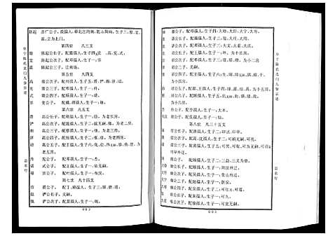 [陈]阜宁陈氏北门九修宗谱 (江苏) 阜宁陈氏北门九修家谱_二.pdf