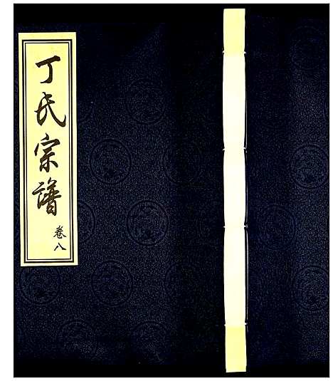 [丁]丁氏宗谱 (江苏) 丁氏家谱_十.pdf