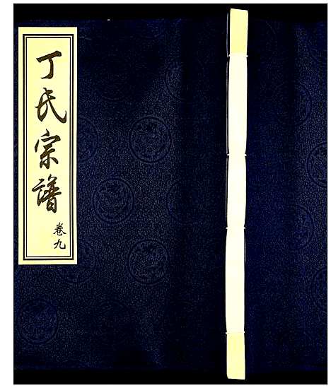 [丁]丁氏宗谱 (江苏) 丁氏家谱_十一.pdf