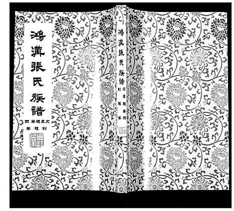 [张]鸿沟张氏族谱_各方分卷首1卷 (江苏) 鸿沟张氏家谱_五.pdf