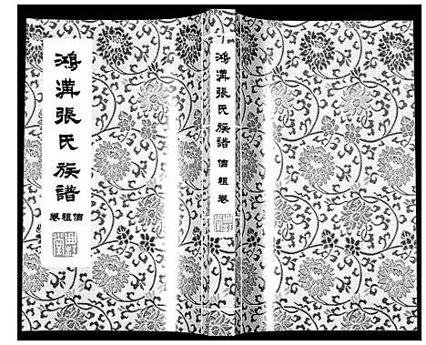 [张]鸿沟张氏族谱_各方分卷首1卷 (江苏) 鸿沟张氏家谱_七.pdf