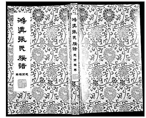 [张]鸿沟张氏族谱_各方分卷首1卷 (江苏) 鸿沟张氏家谱_九.pdf