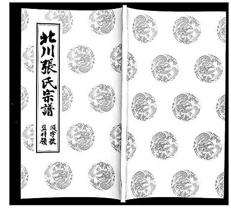 [张]北川张氏宗谱 (江苏) 北川张氏家谱_十九.pdf