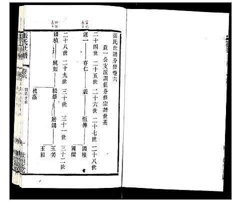 [张]张氏宗谱 (江苏) 张氏家谱_六.pdf