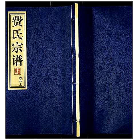 [费]费氏宗谱 (江苏) 费氏家谱_八.pdf