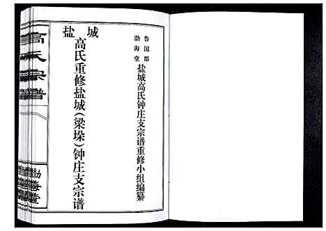 [高]高氏宗谱 (江苏) 高氏家谱.pdf