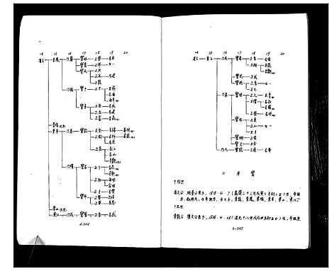 [顾]庙湾顾氏三修宗谱 (江苏) 庙湾顾氏三修家谱_十三.pdf