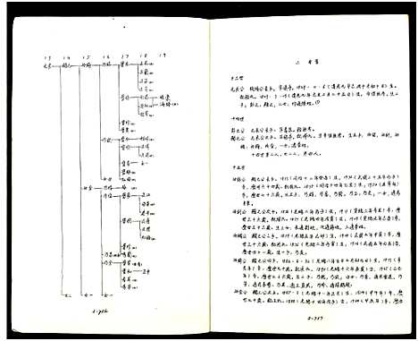 [顾]庙湾顾氏三修宗谱 (江苏) 庙湾顾氏三修家谱_十七.pdf