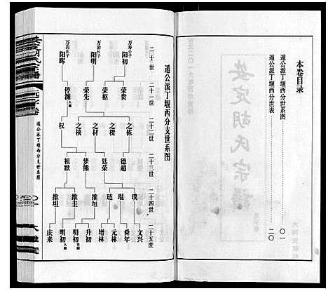 [胡]安定胡氏宗谱_13卷 (江苏) 安定胡氏家谱_八.pdf