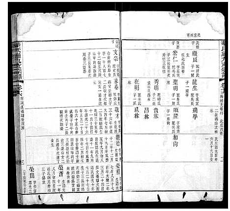 [华]华氏通九支宗谱_28卷首1卷 (江苏) 华氏通九支家谱_九.pdf