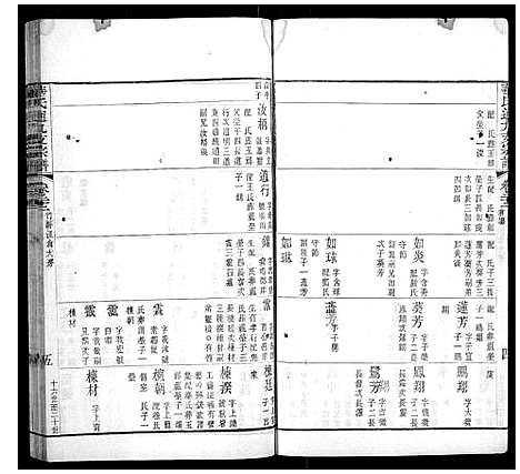 [华]华氏通九支宗谱_28卷首1卷 (江苏) 华氏通九支家谱_十二.pdf