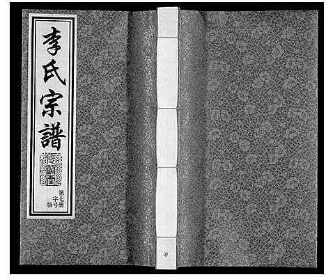 [李]李氏宗谱 (江苏) 李氏家谱_七.pdf