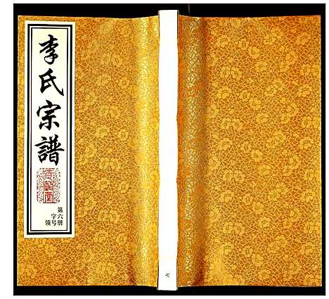 [李]李氏宗谱 (江苏) 李氏家谱_六.pdf