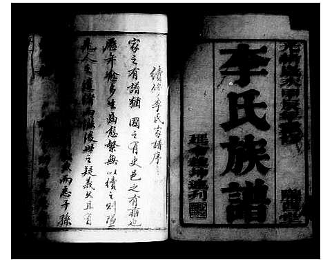 [李]李氏族谱_12卷-如皋西乡李氏族谱 (江苏) 李氏家谱_一.pdf