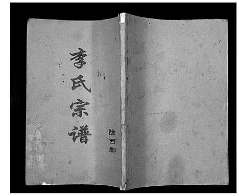 [李]盐城李氏宗谱 (江苏) 盐城李氏家谱.pdf