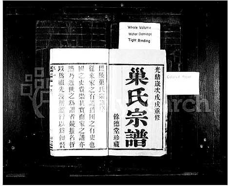 [孟]毘陵巢氏宗谱 (江苏) 毘陵巢氏家谱.pdf