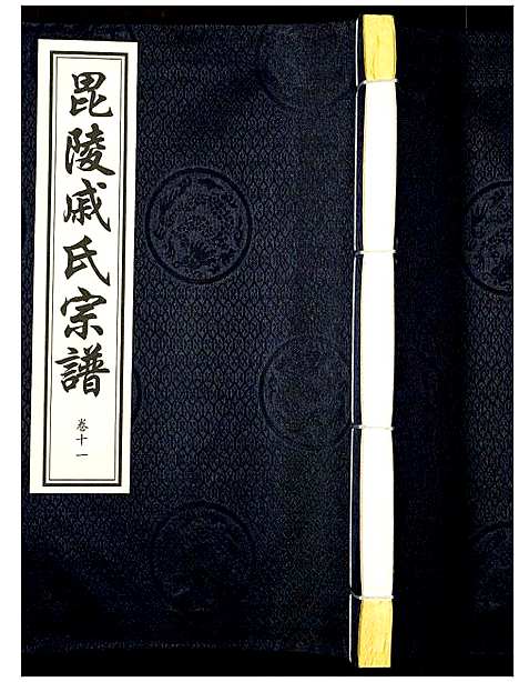 [戚]毗陵·戚氏宗谱 (江苏) 毗陵戚氏家谱_十一.pdf