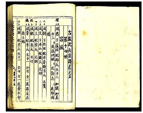 [沈]古盐建湖沈氏宗谱 (江苏) 古盐建湖沈氏家谱_五.pdf