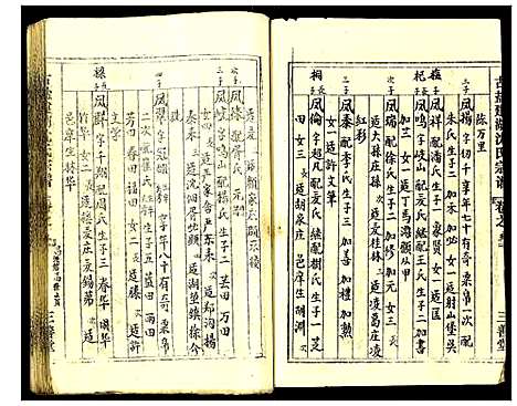 [沈]古盐建湖沈氏宗谱 (江苏) 古盐建湖沈氏家谱_五.pdf