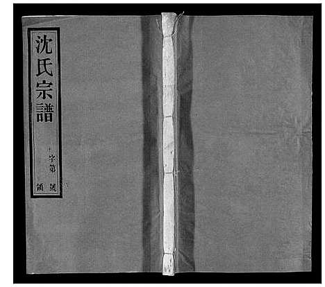 [沈]沈氏宗谱 (江苏) 沈氏家谱_三.pdf