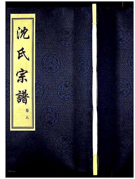 [沈]沈氏宗谱 (江苏) 沈氏家谱_九.pdf