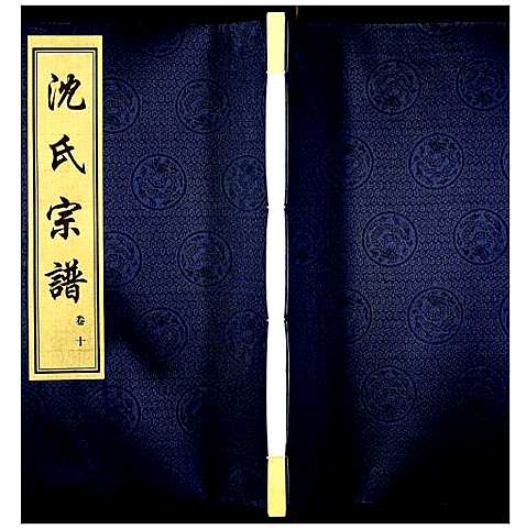 [沈]沈氏宗谱 (江苏) 沈氏家谱_十一.pdf