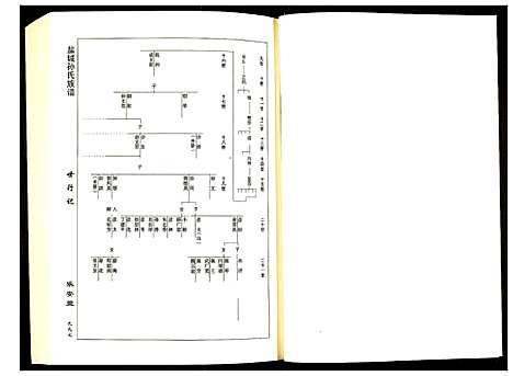 [孙]盐城孙氏族谱 (江苏) 盐城孙氏家谱_三.pdf