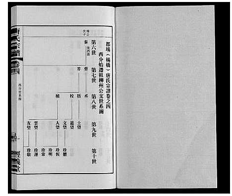 [唐]唐氏宗谱 (江苏) 唐氏家谱_四.pdf