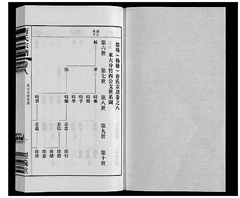 [唐]唐氏宗谱 (江苏) 唐氏家谱_八.pdf