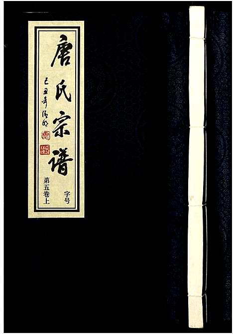 [唐]唐氏宗谱_8卷-胡庄唐氏宗谱 (江苏) 唐氏家谱_四.pdf