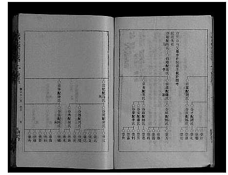 [唐]草堰口镇唐氏宗谱_7卷头1卷 (江苏) 草堰口镇唐氏家谱_六.pdf