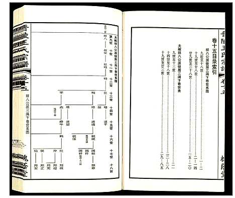 [王]晋陵王氏宗谱 (江苏) 晋陵王氏家谱_十五.pdf